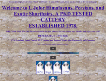 Tablet Screenshot of ljolor.com